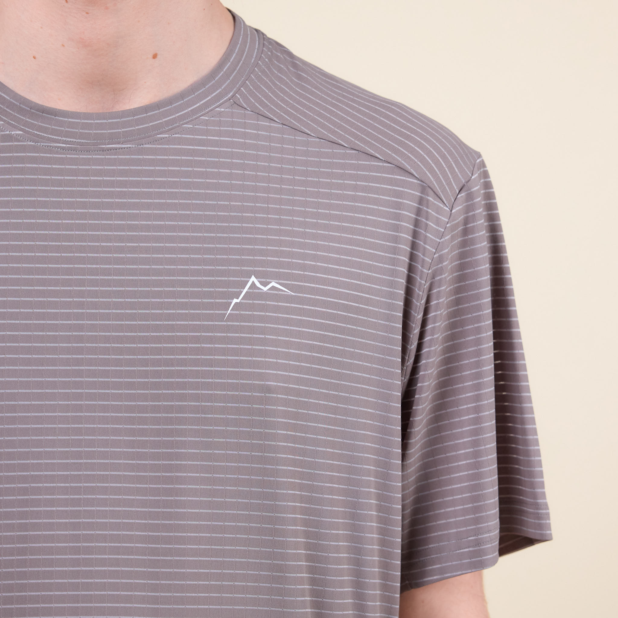 CAYL "Climb As You Love" - Stripe Logo Short Sleeve T-Shirt - Grey
